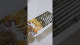 131 Ke 12 Paint Brushes Unboxing Paint Brush