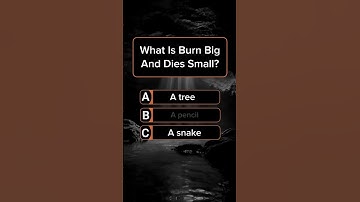 can you get 7/7?#generalknowledge quiz #quizz #quiztime
