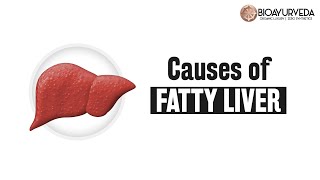 Causes of Fatty Liver | Fatty Liver Cure - BIOAYURVEDA