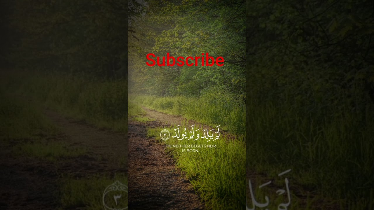 Beautiful Quran Recitation | Heart Touching Tilawat 