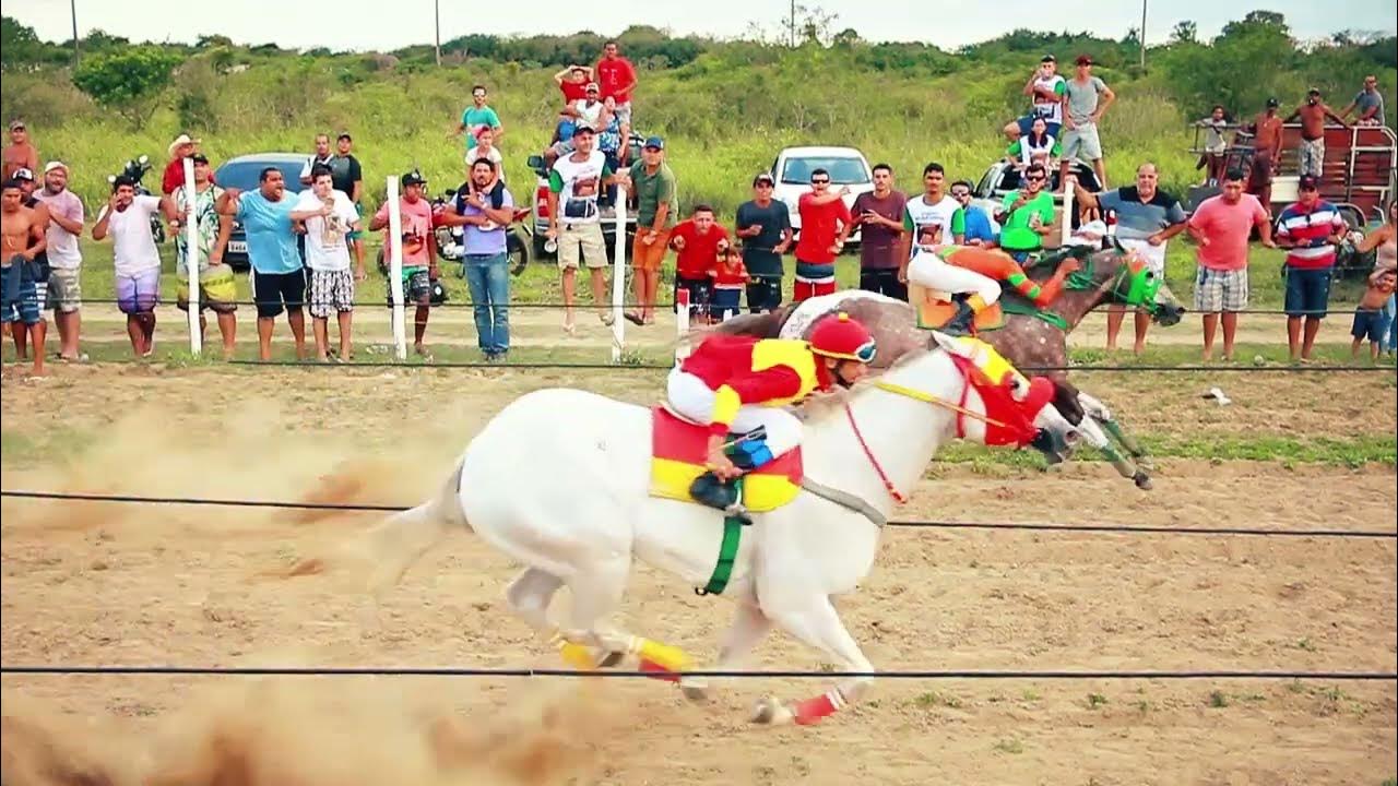 Corrida de cavalos jogo de corridas de cavalos Royal Racing - Video Horse  Tabuleiro de jogo de corridas - China Royal Racing e jogo de corridas de  cavalos preço