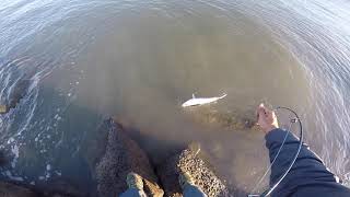 LIFETIME FISHING LICENSE Best Investment Ever