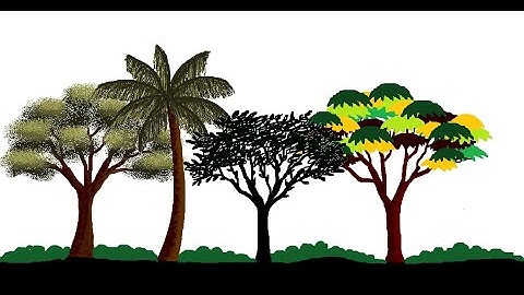 Tree Drawing | How to draw Tree in MS paint | MS paint tutorial | Easy drawing | MS paint Drawing