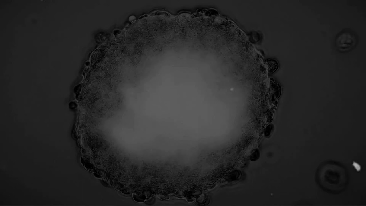 The Deep sound of Space - Indigo [Official video]