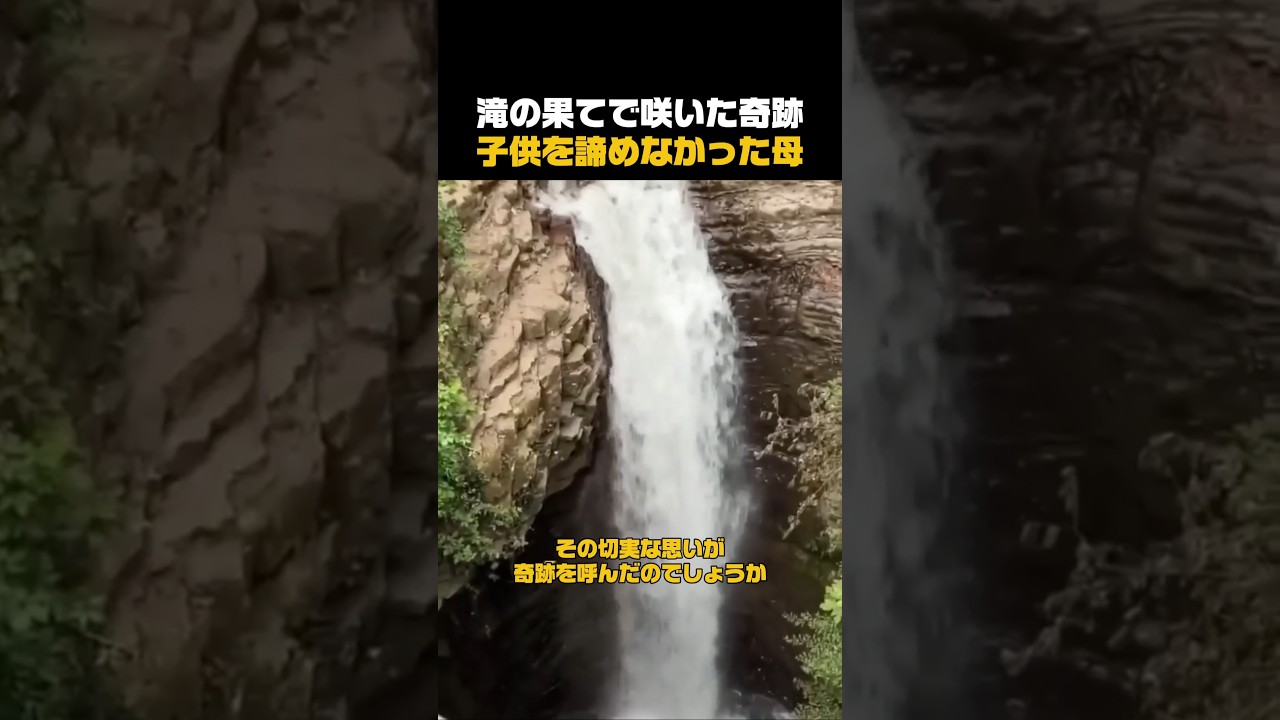 滝の果てで咲いた奇跡、子供を諦めなかった母 #母性愛#感動実話#奇跡の瞬間#救助#家族