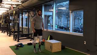 SPEED-Lateral Plyo Step Ups