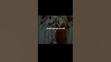 تلاوة نادره نديه لفضيلة الشيخ ماهر المعيقلي 🤎📻