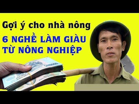 Video: Về Vật Nuôi được Cho ăn Bằng Tay Và Vai Trò Của Con Người đối Với Bệnh Béo Phì ở Vật Nuôi