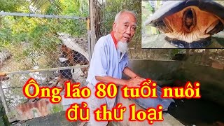 Đam mê chăn nuôi chim gà cảnh của ông cụ trên 80 tuổi _ Chăn Nuôi Miền Tây