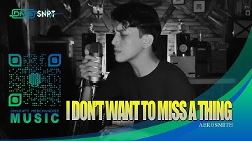 Thumbnail of Aerosmith - I Don't Want to Miss a Thing ( Acoustic Cover )