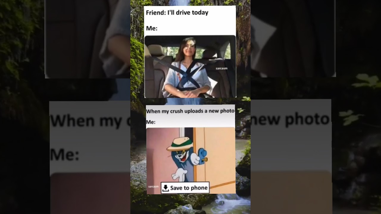 Today memes ..daily memes 