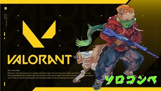 【週末定期配信】　久しぶりのヴァロラント!!エイム大丈夫かな....