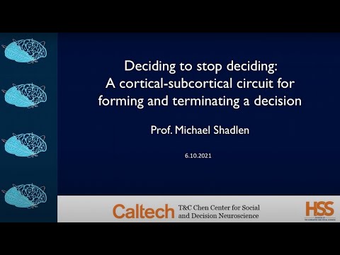 Deciding to stop deciding: A cortical-subcortical circuit for forming and terminating a decision recording thumbnail