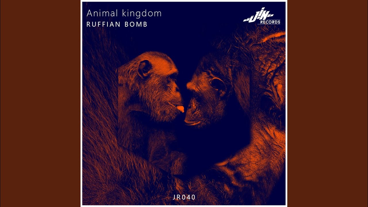 Animal Kingdom (Original Mix) - YouTube