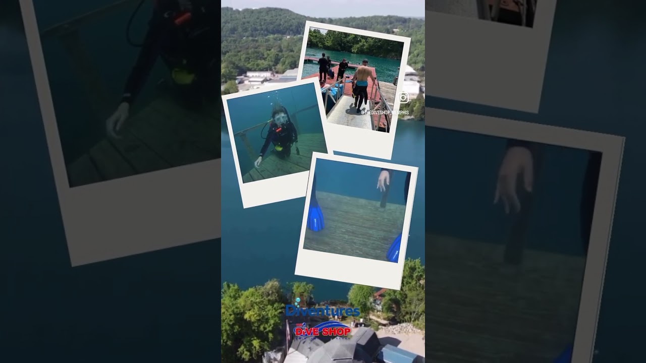 Local diving is back!