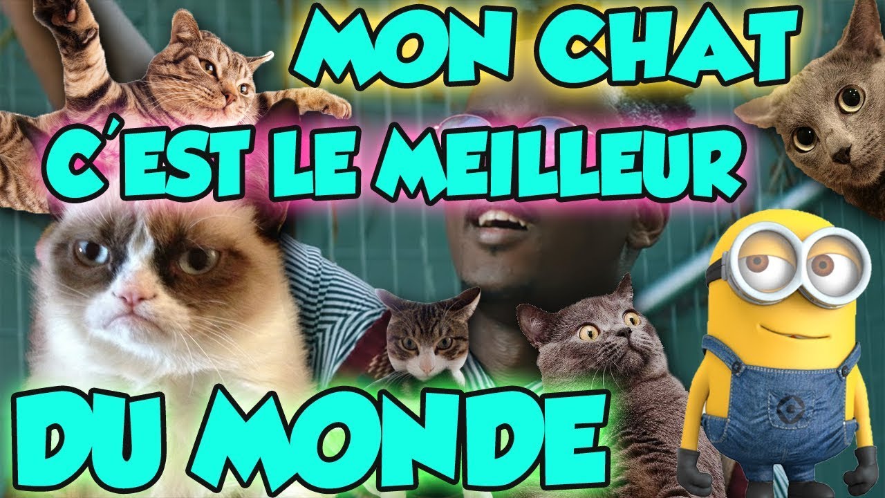 视频 Les Minions Parodient Black M Le Plus Fort Du Monde 免费观看 Hat