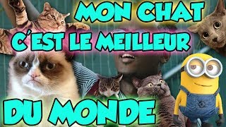 Les Minions Parodient Black M Le Plus Fort Du Monde