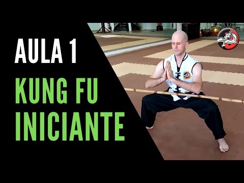 Vídeo: 4 maneiras de aprender Kung Fu por conta própria