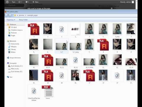 Diamond FlipBook - flash&WordPress ( management )