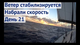 Стабилизировался ветер, набрали хорошую скорость | Трансатлантика день 21