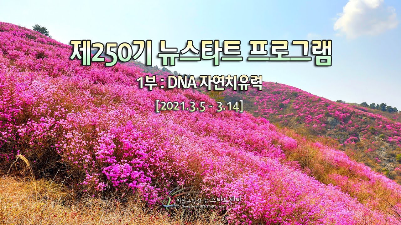 R250 13 우울증과 사랑