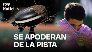 INDIAN WELLS: Una INVASIÓN de ABEJAS suspende el PARTIDO entre ALCARAZ y ZVEREV | RTVE Noticias