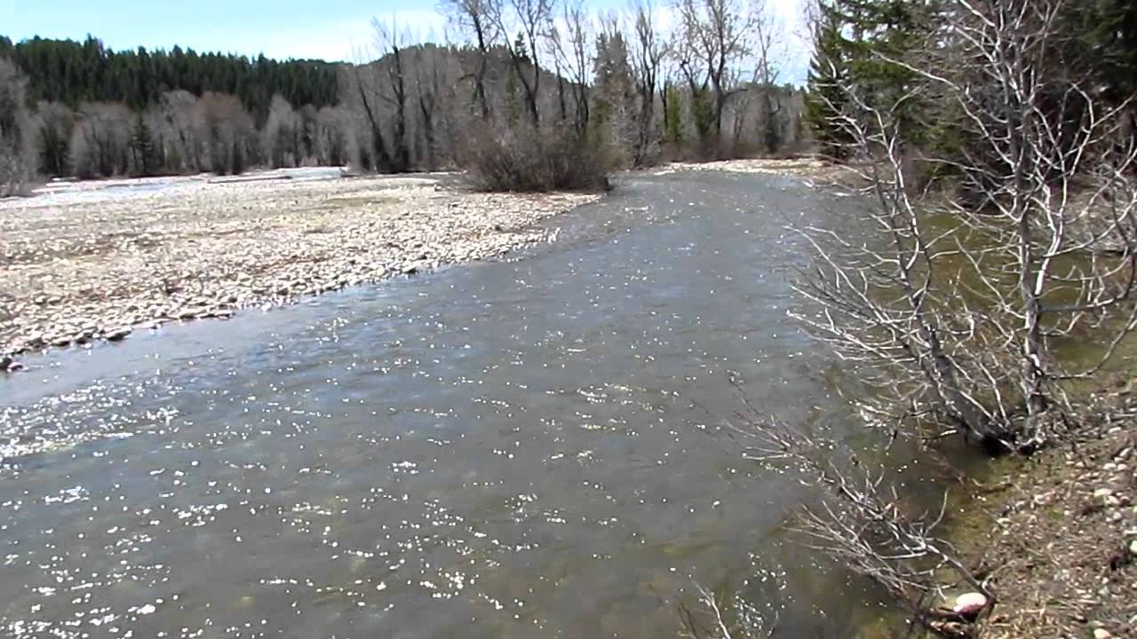 MVI 2855   Grand Teton National Park - Pilgrim Creek at end of Pilgrim Creek Road