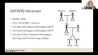 The Methylation Cycle -  Decoding the Connection: MTHFR & Autism with Greer McGuinness