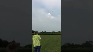 Ballistic DLG Bungee Launches