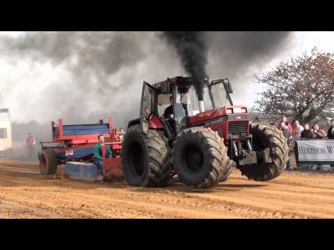 Promo-Video Wittbek 2011