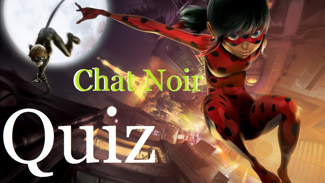 Who Are You To Chat Noir Quiz From Quotev