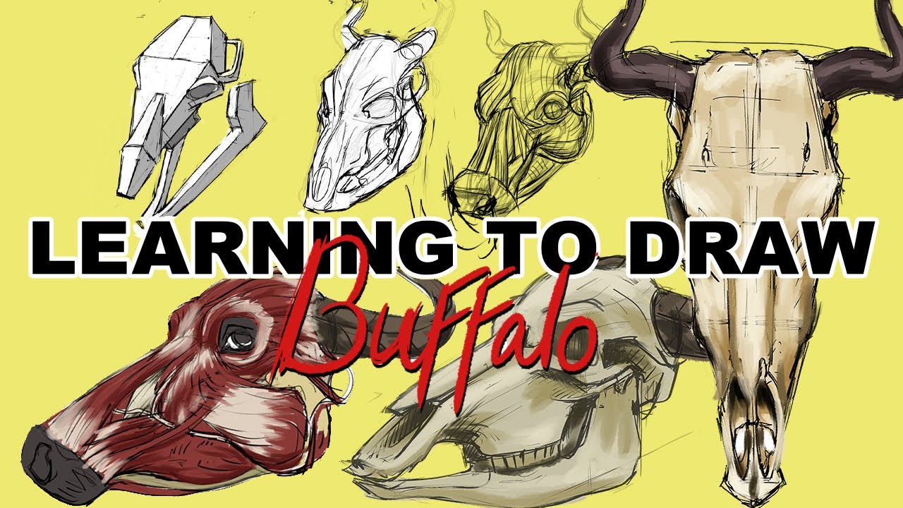 Learning to draw Buffalo/ Cow Part 3 | Anatomy of Head
