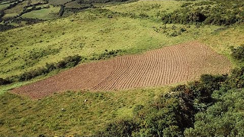 The two-dimensional hydrodynamic watershed model