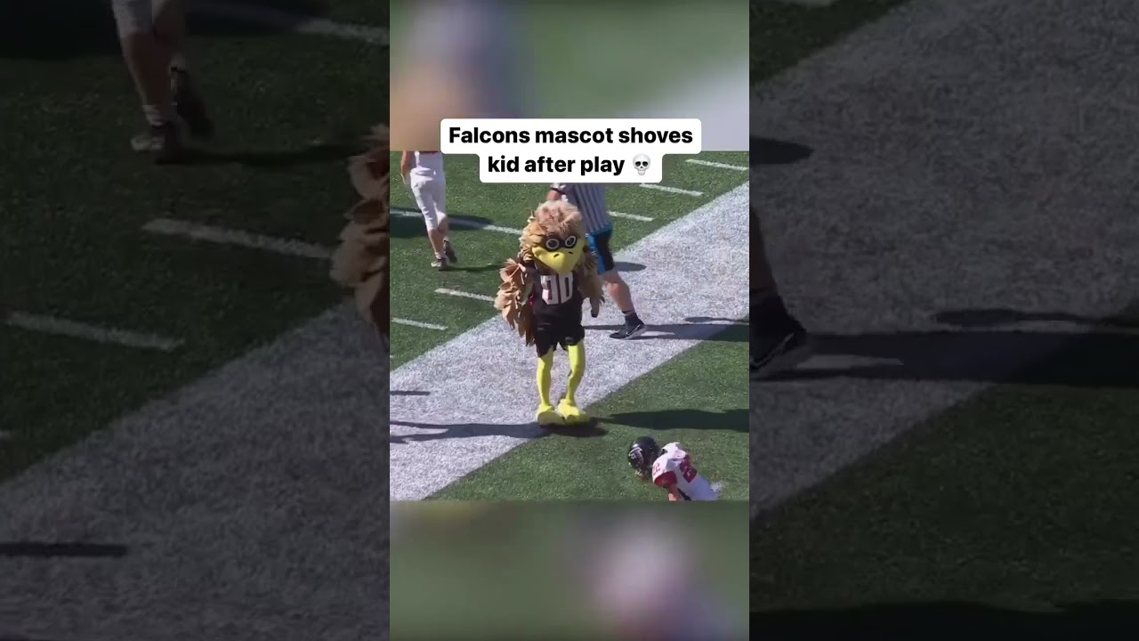 Falcons mascot fights kid😂😭 