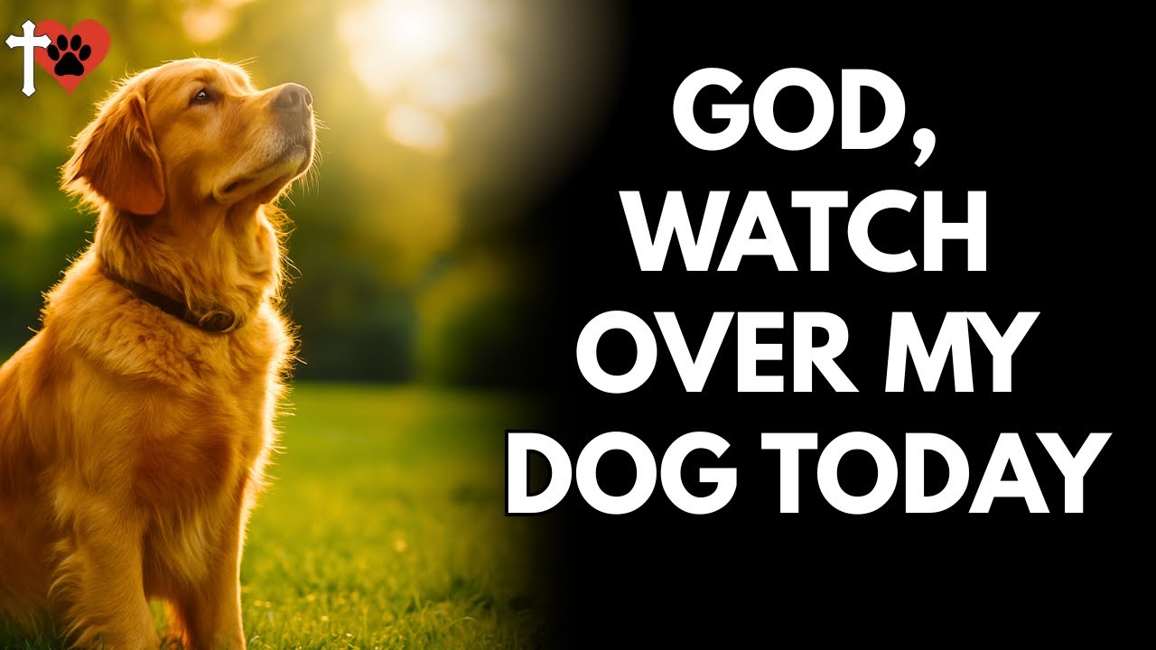 Daily Prayer for Your Dog’s Safety and Well Being – Invite God’s Protection – prayer for dog