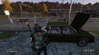 DayZ RoadKill
