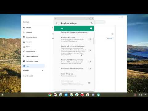 How to Access Android Developer Options on your Chromebook Chrome OS