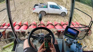 [CABVIEW] CORN HARVEST 2020 with Claas Lexion 650 & Capello 12 rows