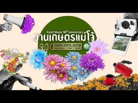 พาชม ชิม ชอป งานเกษตรแม่โจ้90ปี | Let you know Podcast #งานเกษตรแม่โจ้90ปี #ชมชิมชอป #นิเทศพาเที่ยว