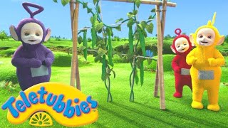 Teletubbies: Grüns 💚 | Teletubbies auf Deutsch 🇩🇪 | Videos für Kinder