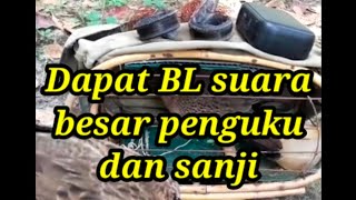 Full Sanji, Pengguku!! Modal Speaker MP3 Jaring Sama Tekukur Abal-Abal...
