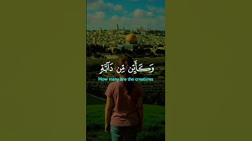 قرآن كريم#قرآن #اكسبلور #المصحف #قران_كريم #duet #دويتو #دعاء #تيك_توك #مصر #حالات_واتس#دعاء_مستجاب