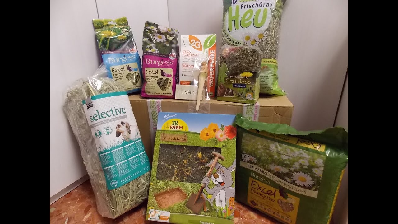 Unboxing de LovePets!!