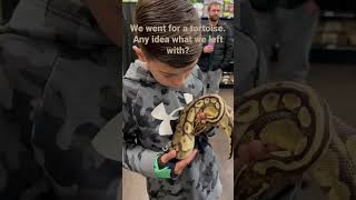 #ballpython #serpentarium #reptilemuseum