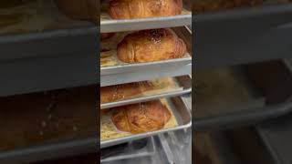 Bakery owner mini vlog
