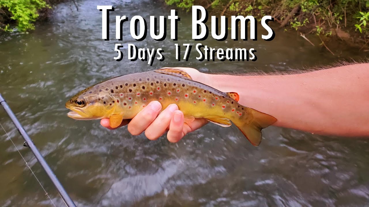 WBD Fly Fishing Trout Bums Pennsylvania Tour ( Day 1 of 5 ) Brown