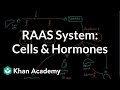 Raas Khan Academy