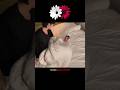 cute husband wife cute moments Short video status 💫🌎🫂 #husbandwife #mylove #trending #releshionship