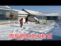 东北人有多讨厌雪？刚下完赶紧就清出去 孩子们却喜欢的不得了