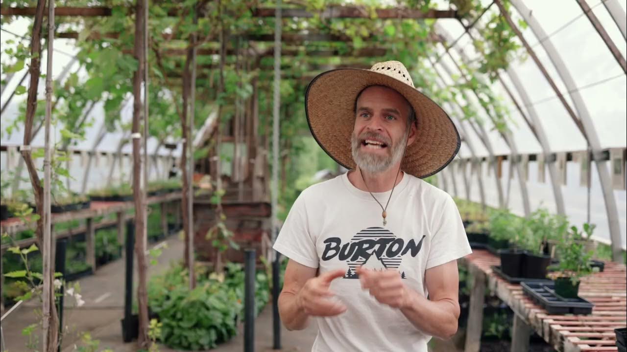 REGENERATE GREY BRUCE Fiddlehead Nursery YouTube